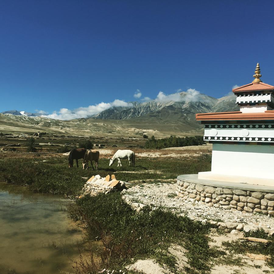 Royal Mustang Resort Nāmbo Buitenkant foto